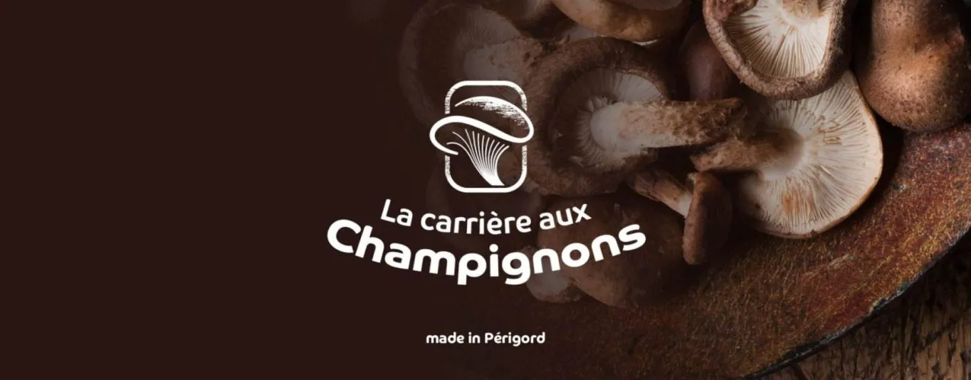 champi@2x